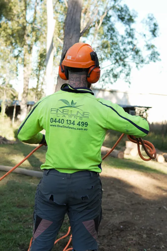 Fineline Lawns worker in a hi-vis shirt and safety helmet trimming a hedge, seen from behind